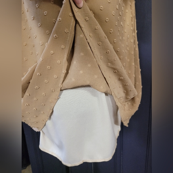 Tan Swiss Dot Blouse - Picture 5 of 8